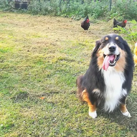 Apartament Ca'lupetta - Laghi E Natura