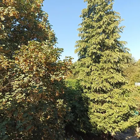 Ca'lupetta - Laghi E Natura Appartement Varallo Pombia