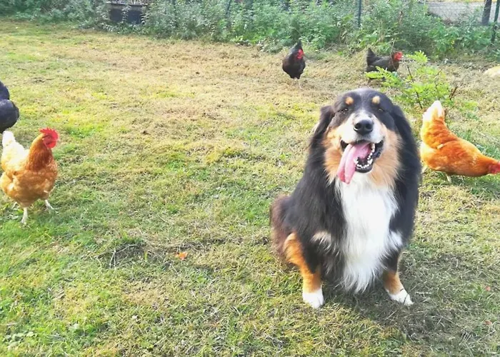 דירה Ca'lupetta - Laghi E Natura