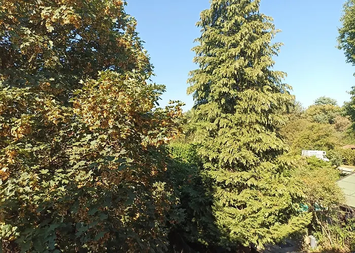 Ca'lupetta - Laghi E Natura דירה Varallo Pombia